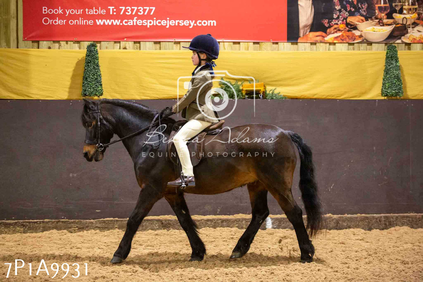 Home Farm Spring Show - Ridden Showing 24th March 2024 - Part 2