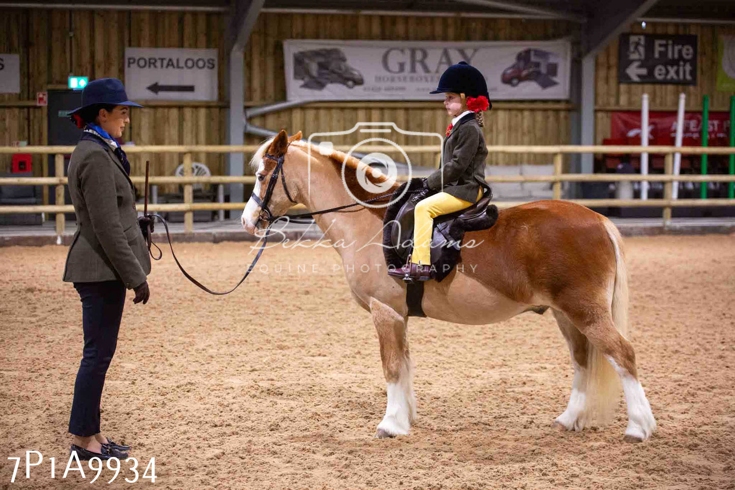 Home Farm Spring Show - Ridden Showing 24th March 2024 - Part 2