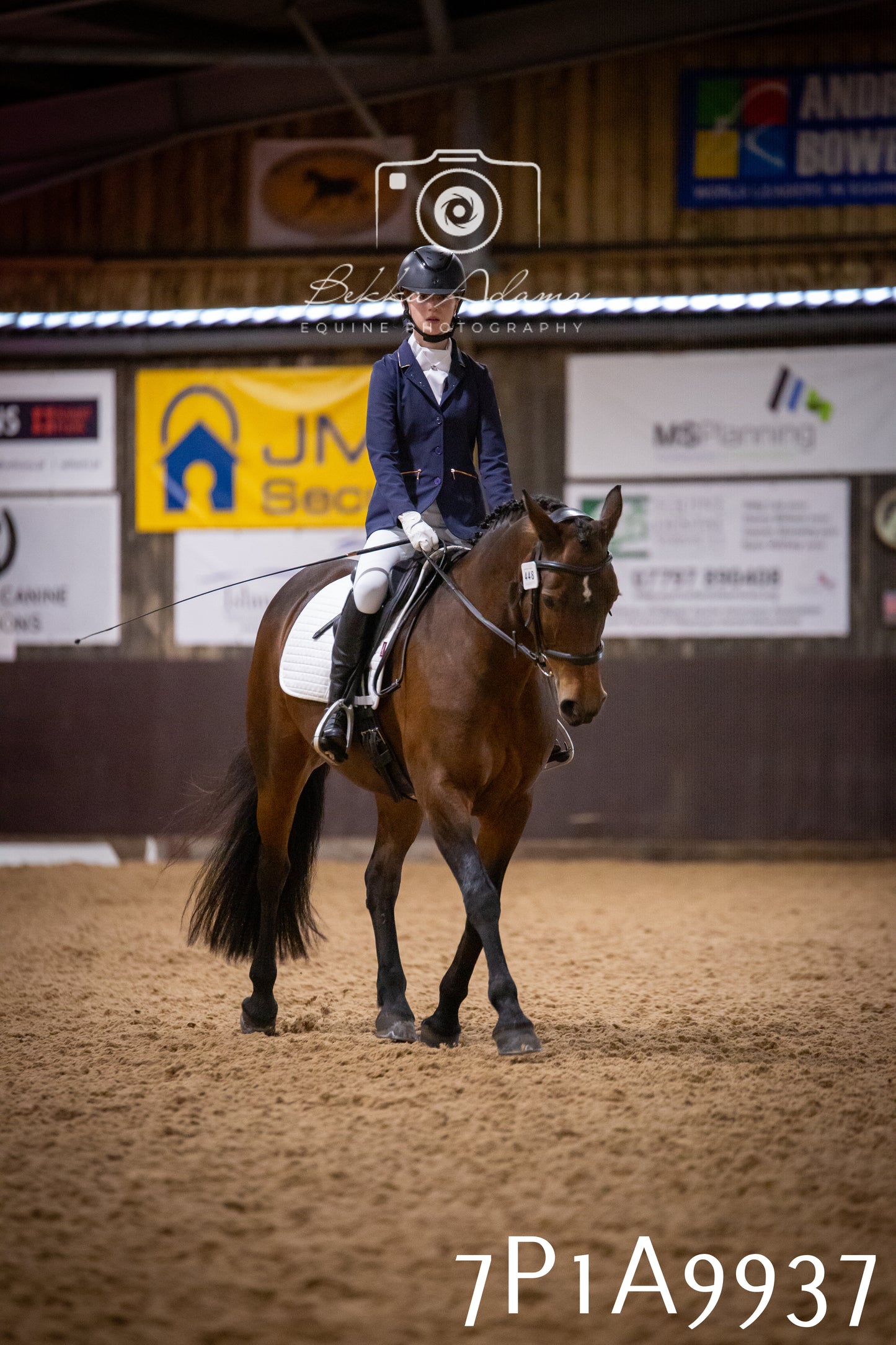 JHOYS 2025 - Dressage - 13th September