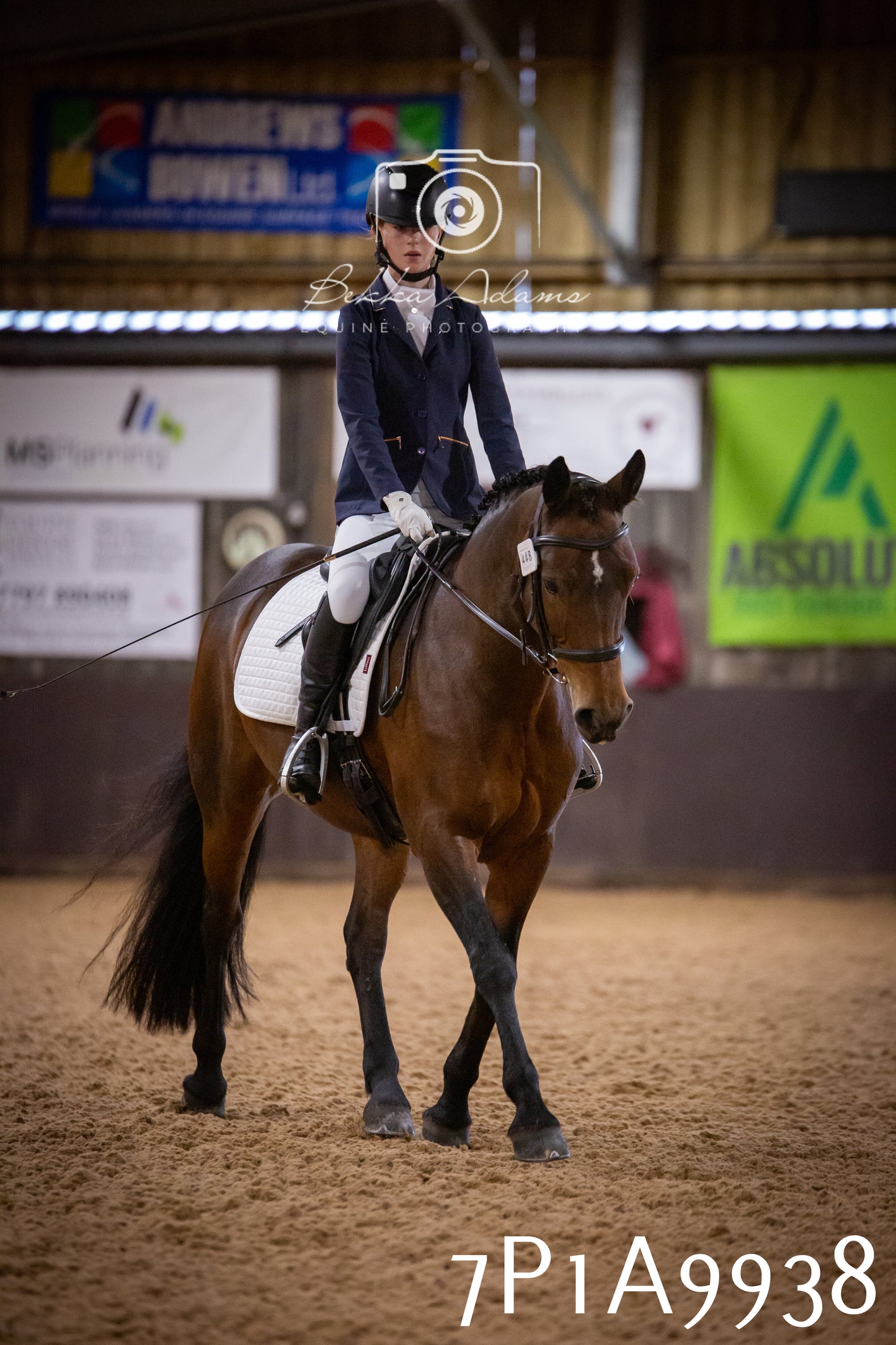 JHOYS 2025 - Dressage - 13th September