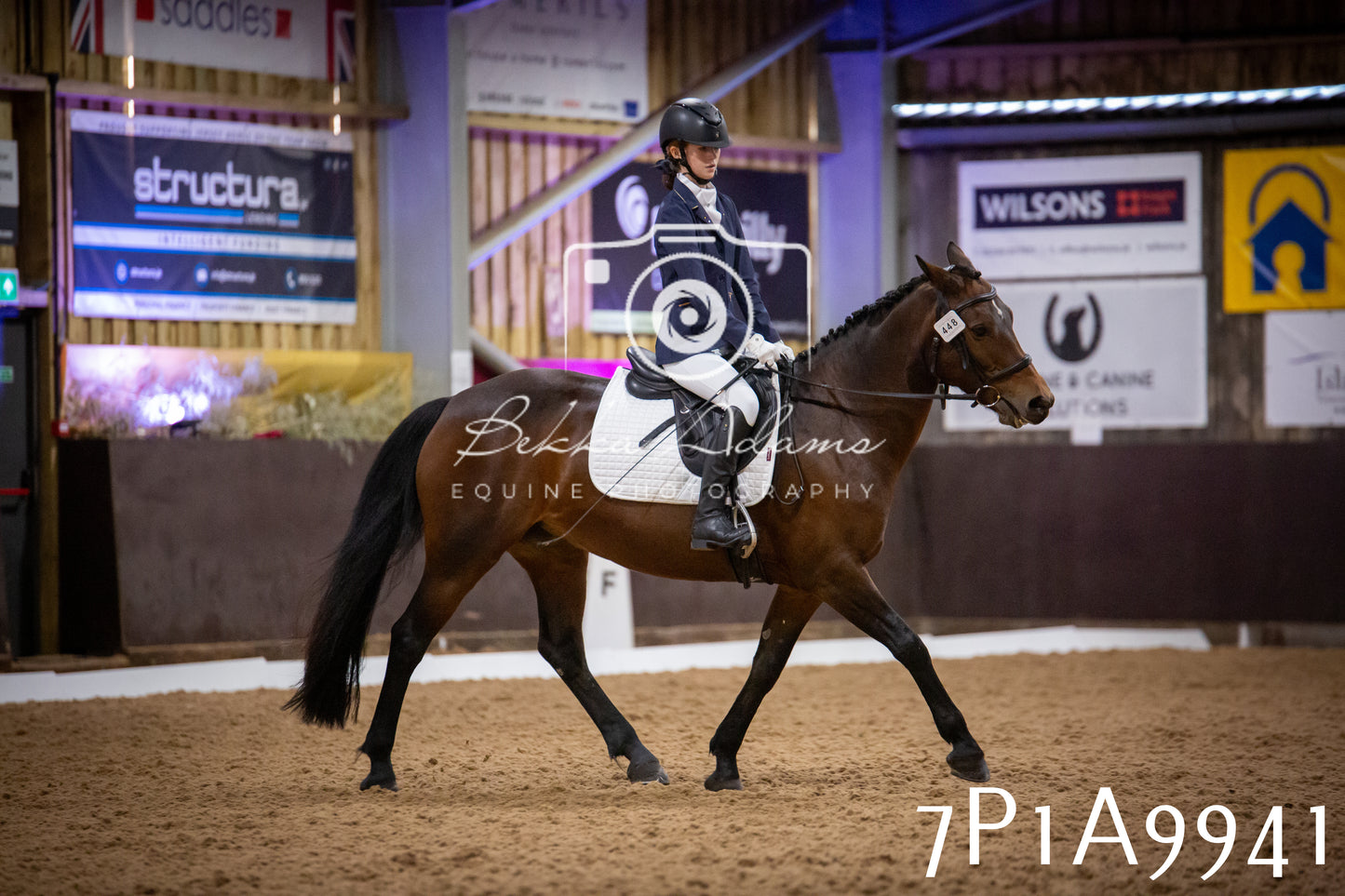 JHOYS 2025 - Dressage - 13th September