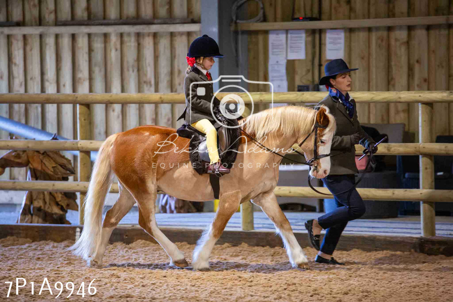 Home Farm Spring Show - Ridden Showing 24th March 2024 - Part 2