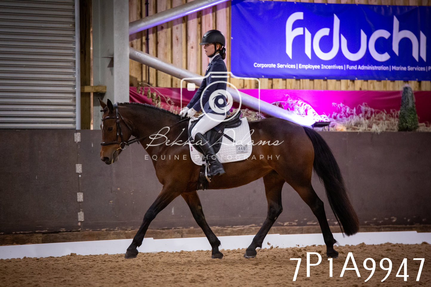 JHOYS 2025 - Dressage - 13th September