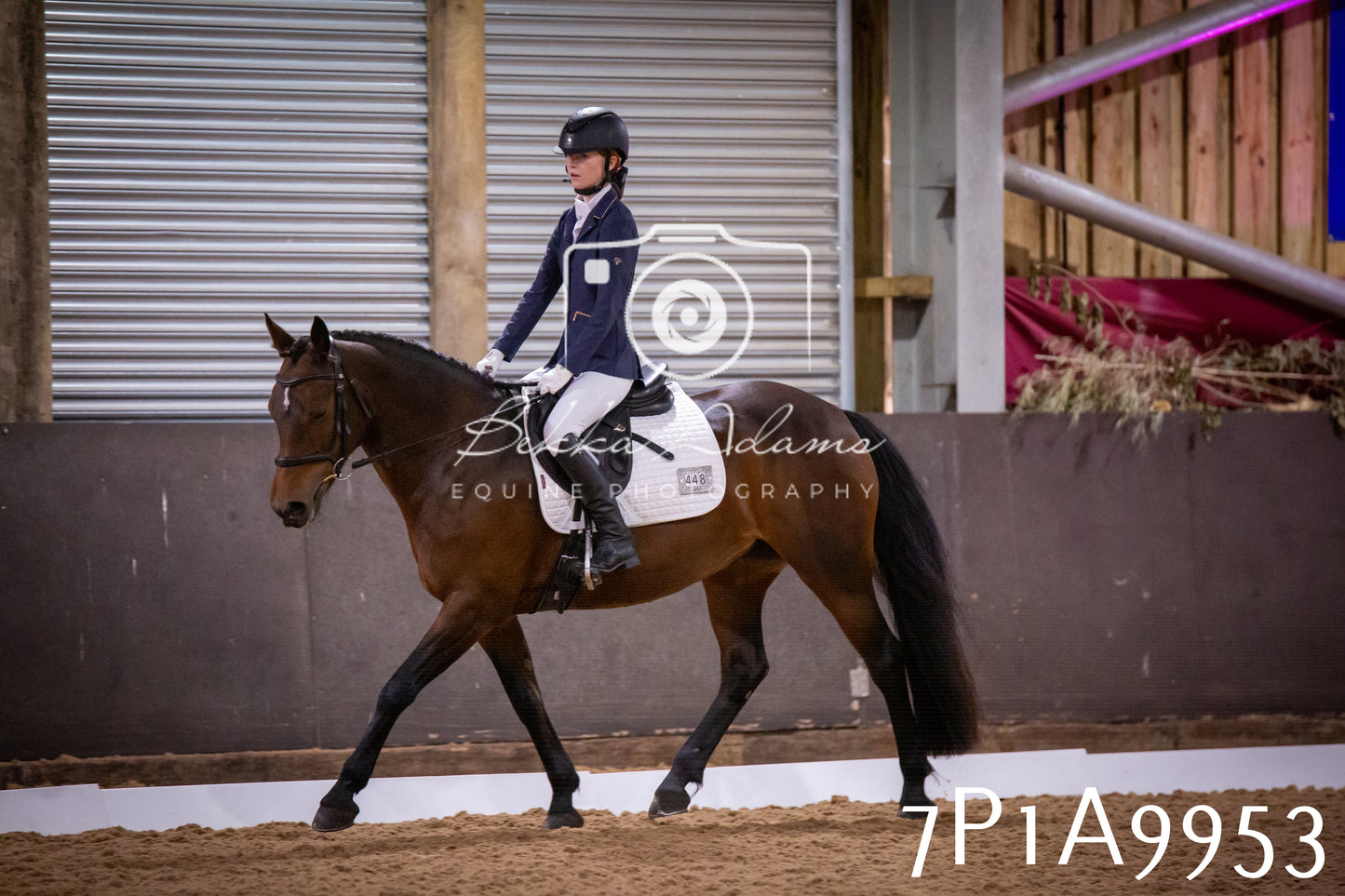 JHOYS 2025 - Dressage - 13th September
