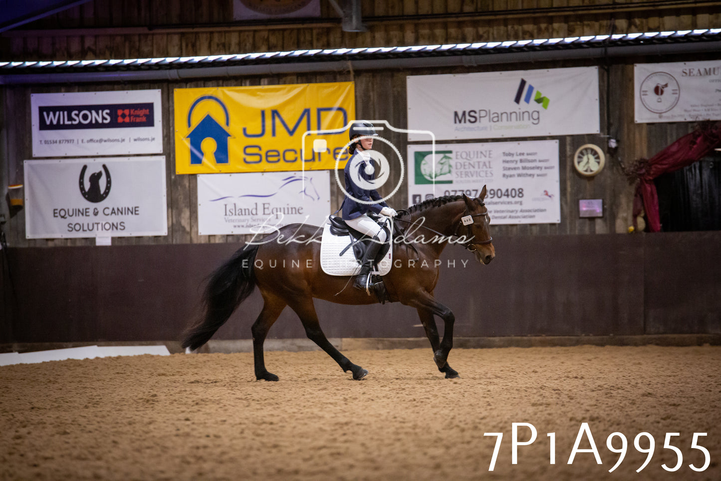 JHOYS 2025 - Dressage - 13th September