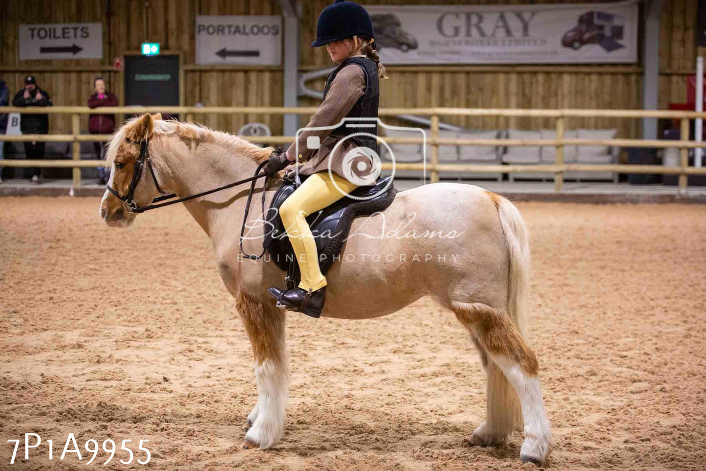 Home Farm Spring Show - Ridden Showing 24th March 2024 - Part 2