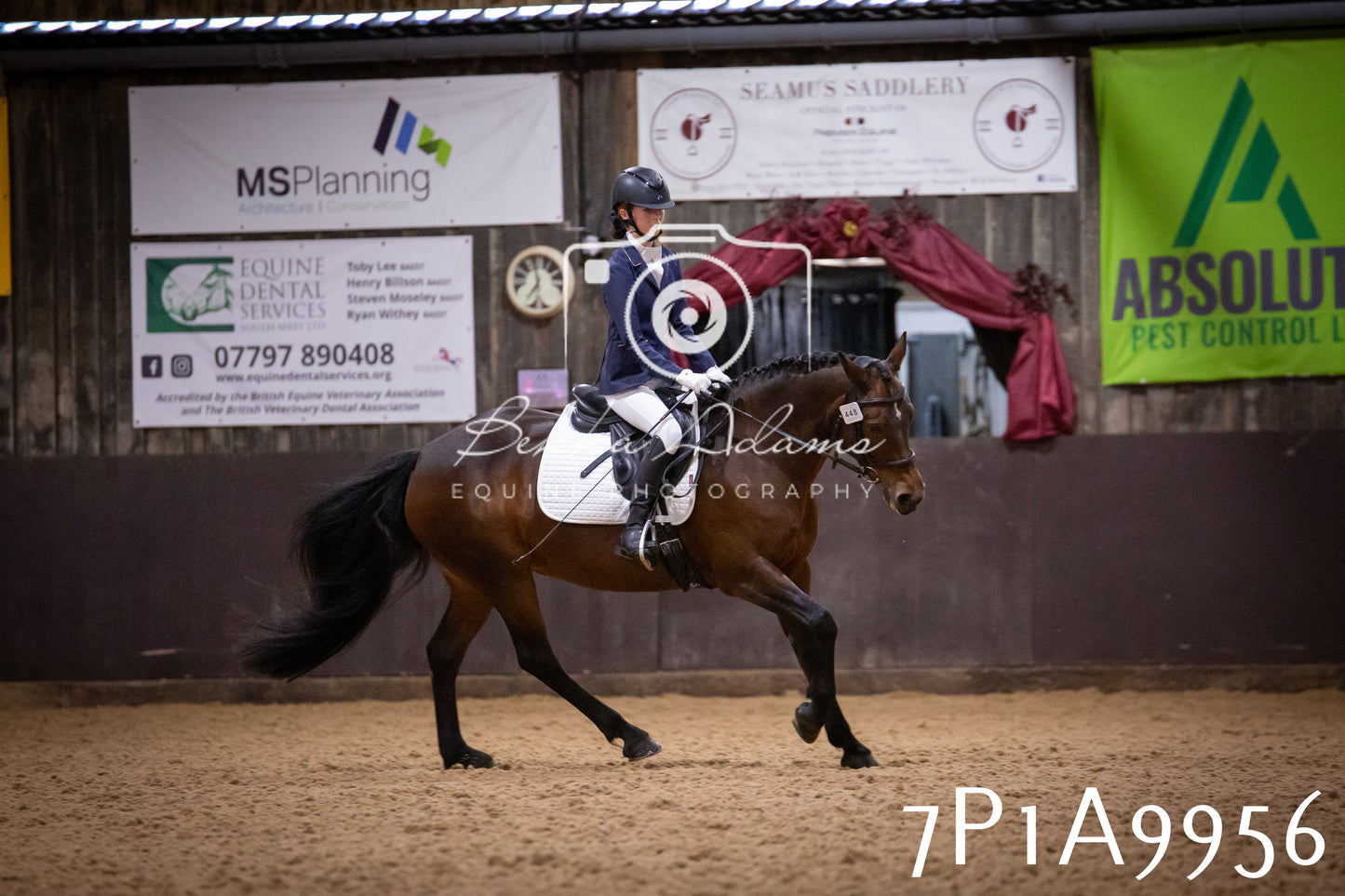 JHOYS 2025 - Dressage - 13th September