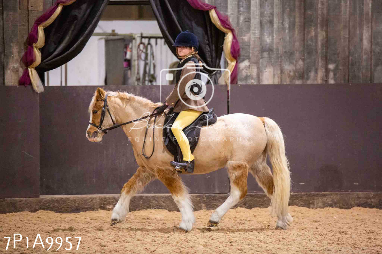 Home Farm Spring Show - Ridden Showing 24th March 2024 - Part 2