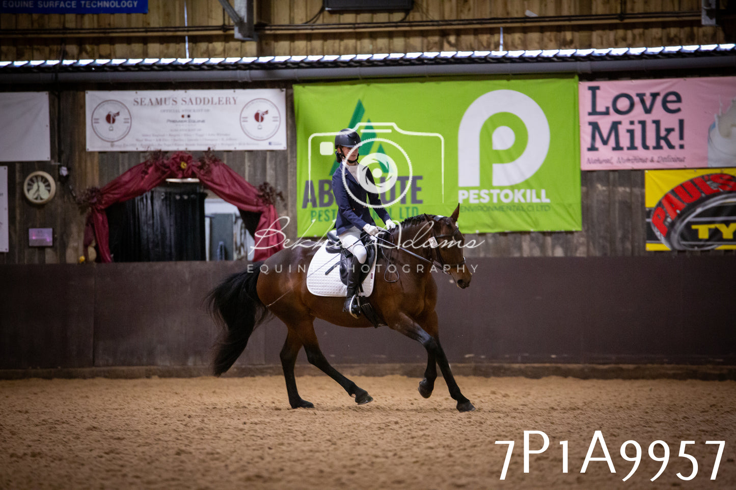 JHOYS 2025 - Dressage - 13th September