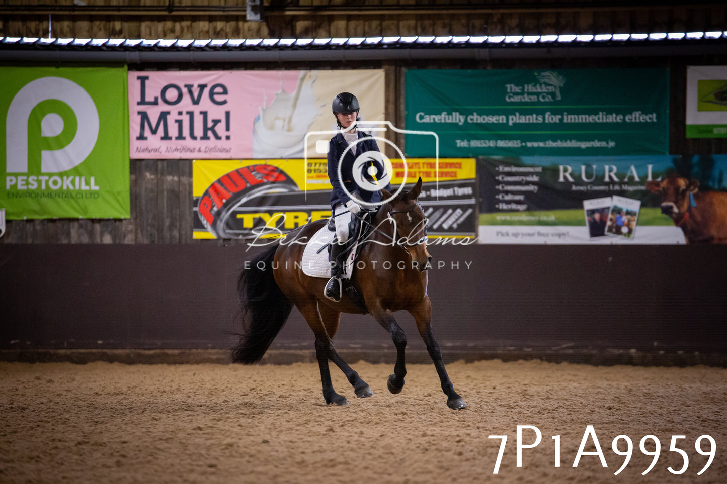 JHOYS 2025 - Dressage - 13th September