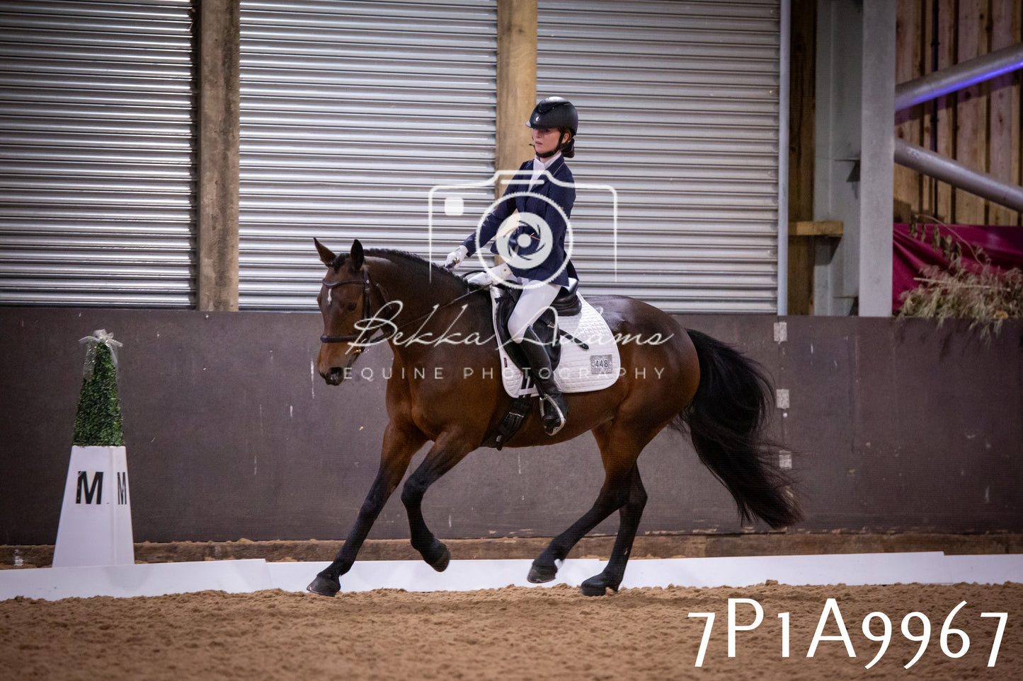 JHOYS 2025 - Dressage - 13th September
