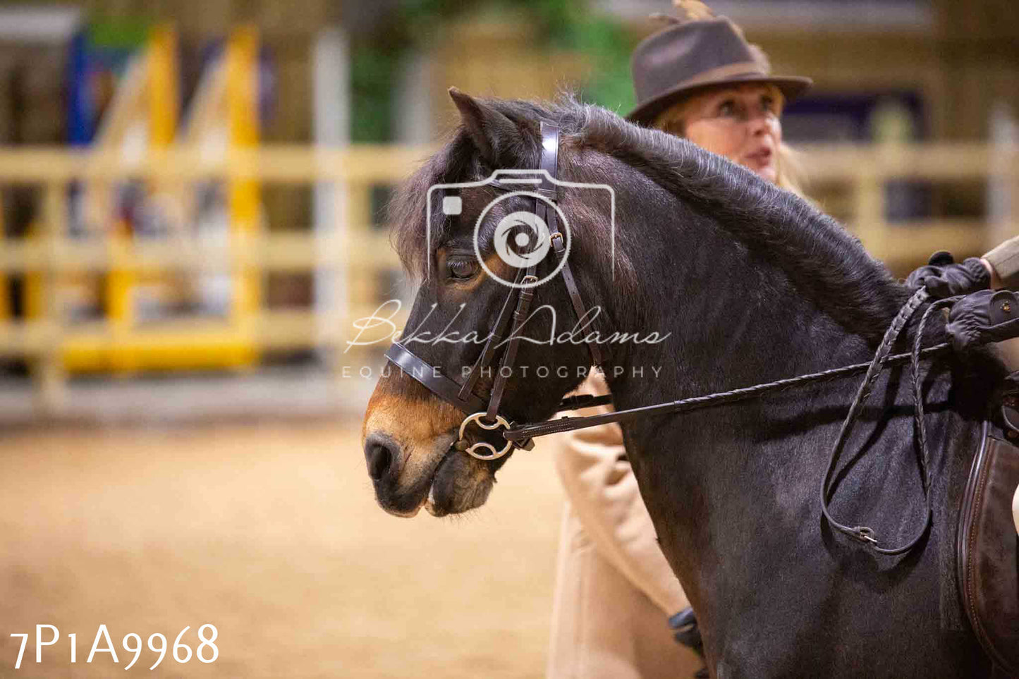 Home Farm Spring Show - Ridden Showing 24th March 2024 - Part 2
