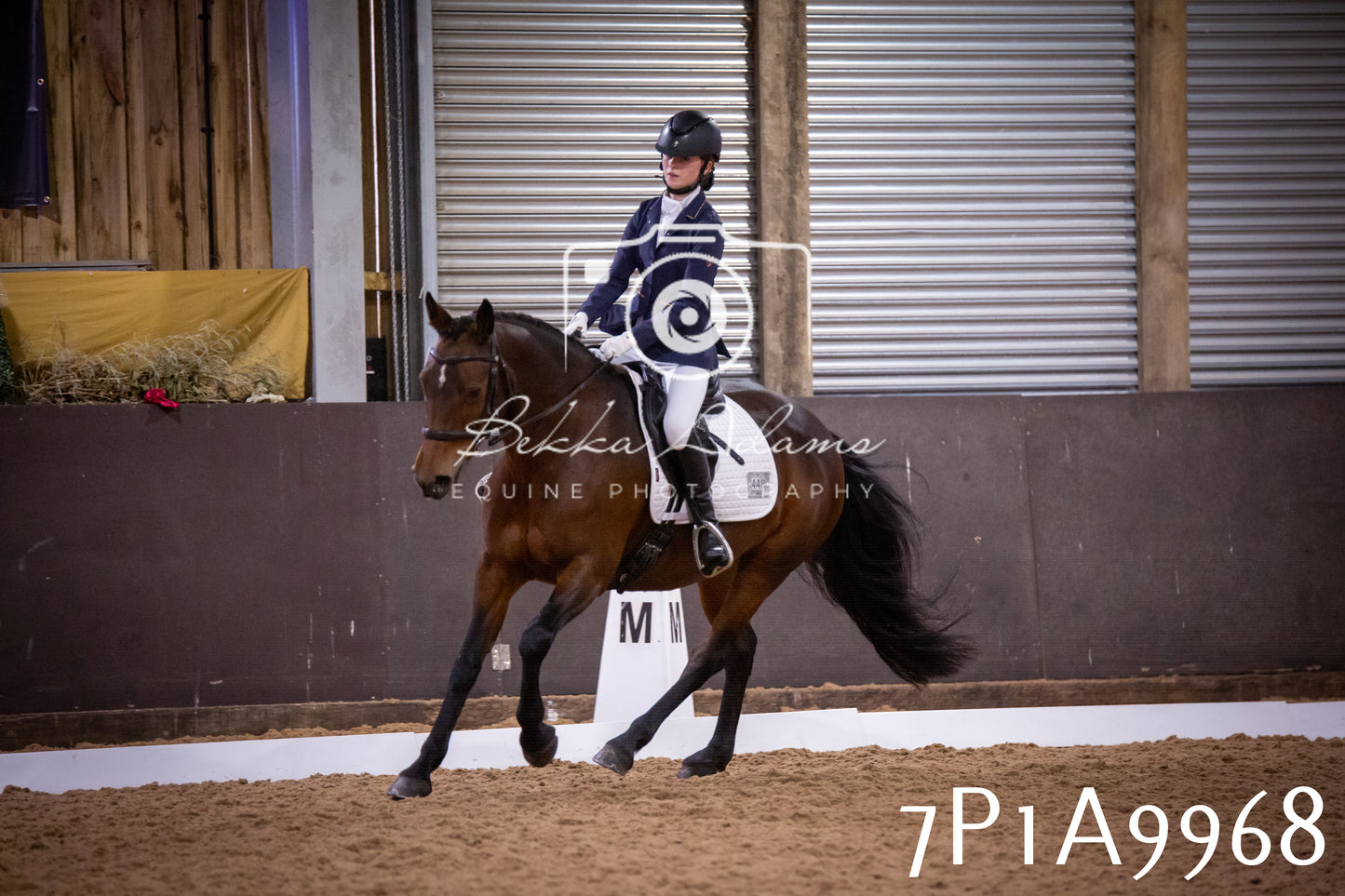JHOYS 2025 - Dressage - 13th September