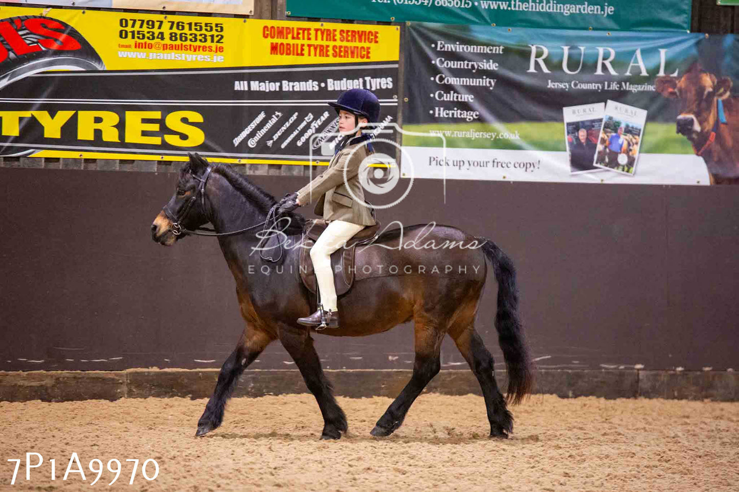 Home Farm Spring Show - Ridden Showing 24th March 2024 - Part 2