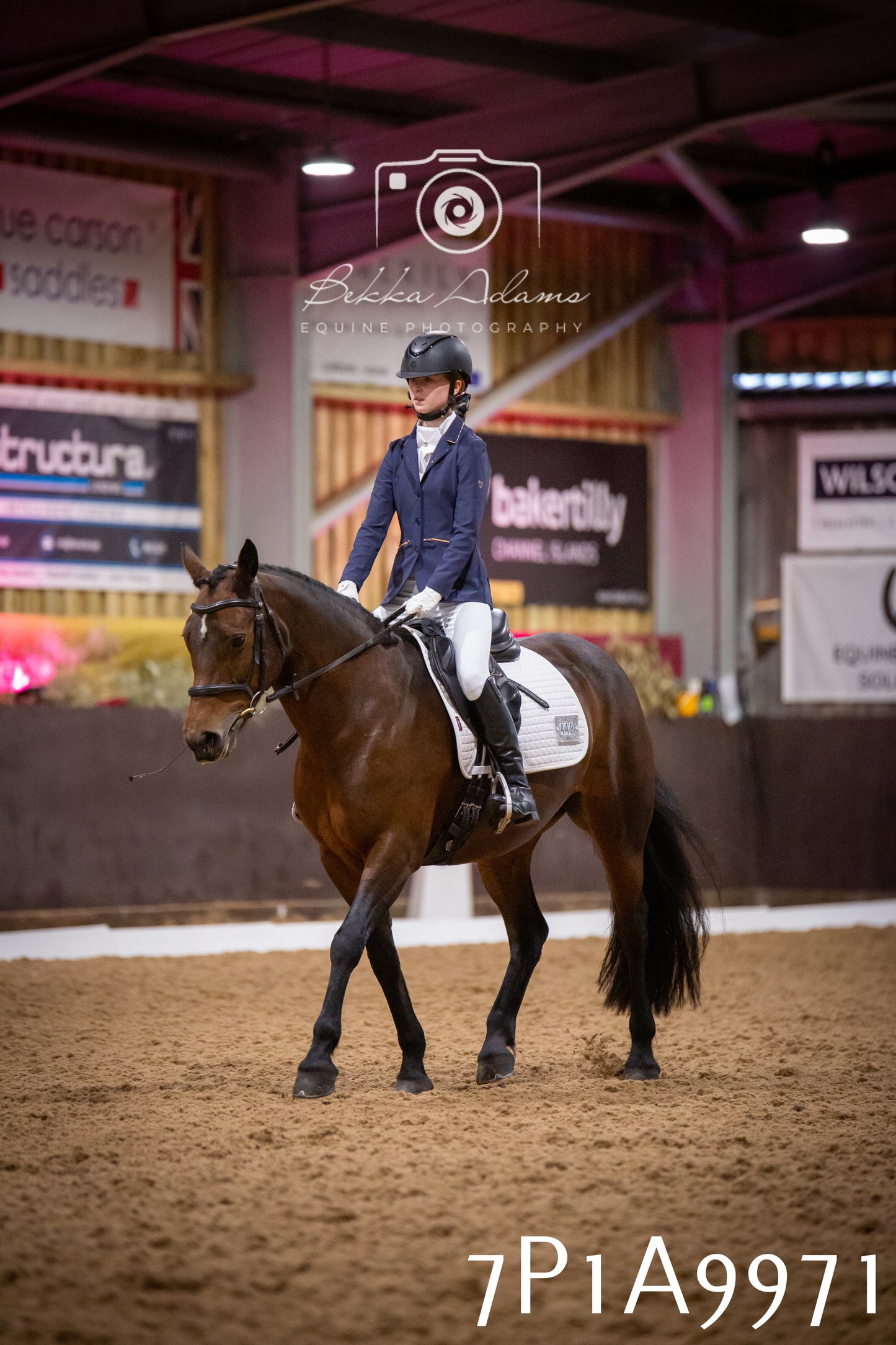 JHOYS 2025 - Dressage - 13th September