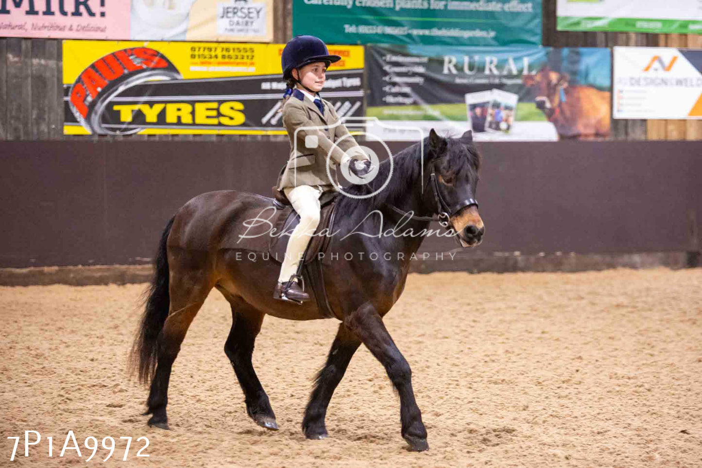 Home Farm Spring Show - Ridden Showing 24th March 2024 - Part 2