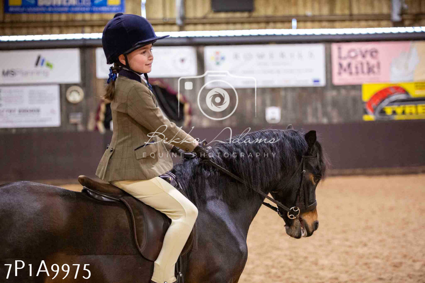 Home Farm Spring Show - Ridden Showing 24th March 2024 - Part 2