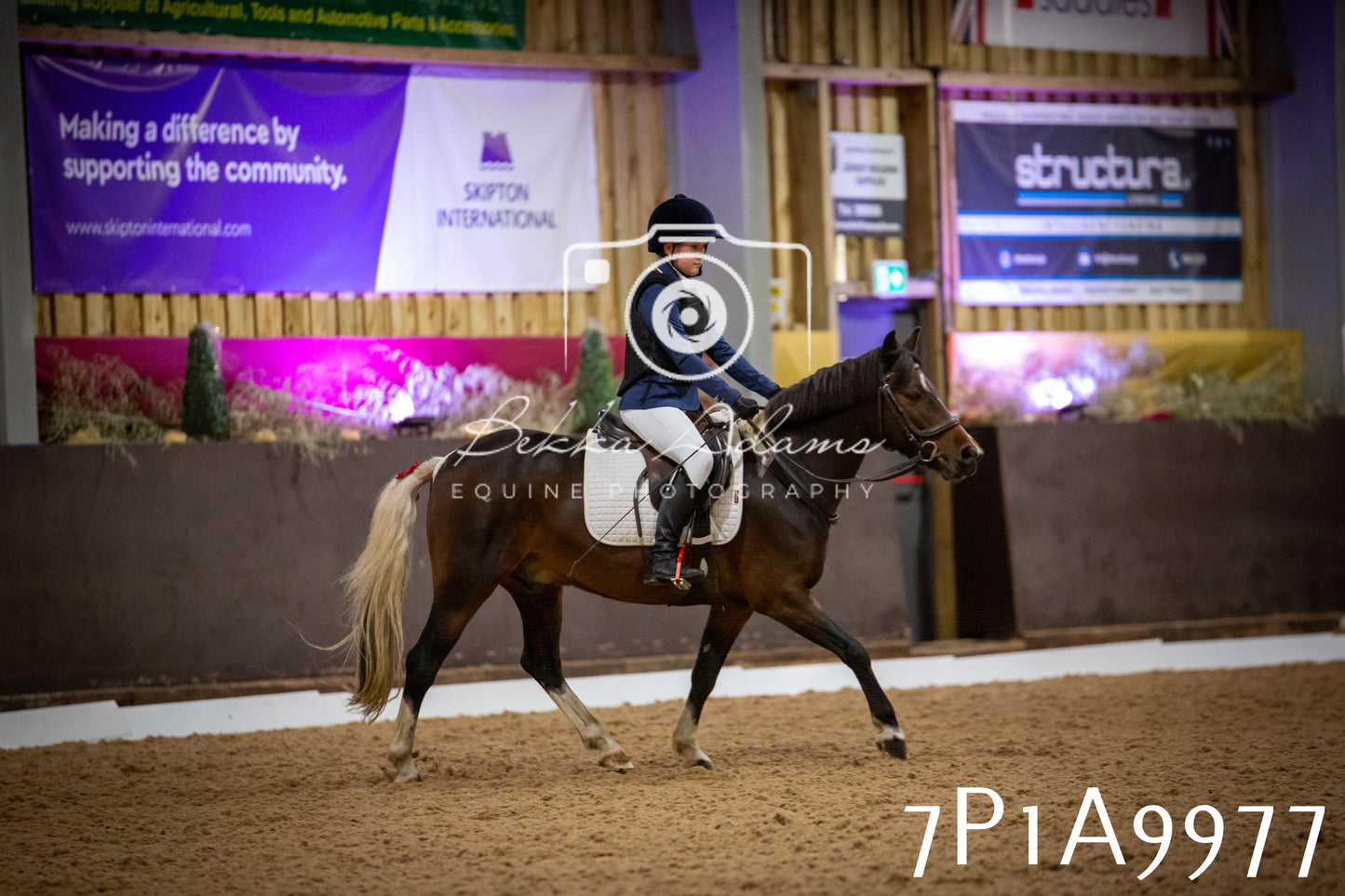 JHOYS 2025 - Dressage - 13th September