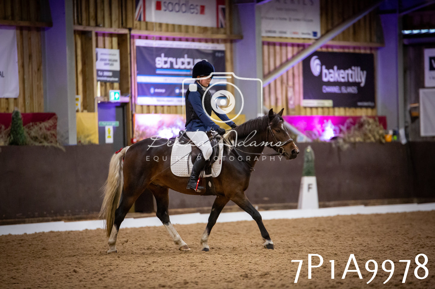 JHOYS 2025 - Dressage - 13th September