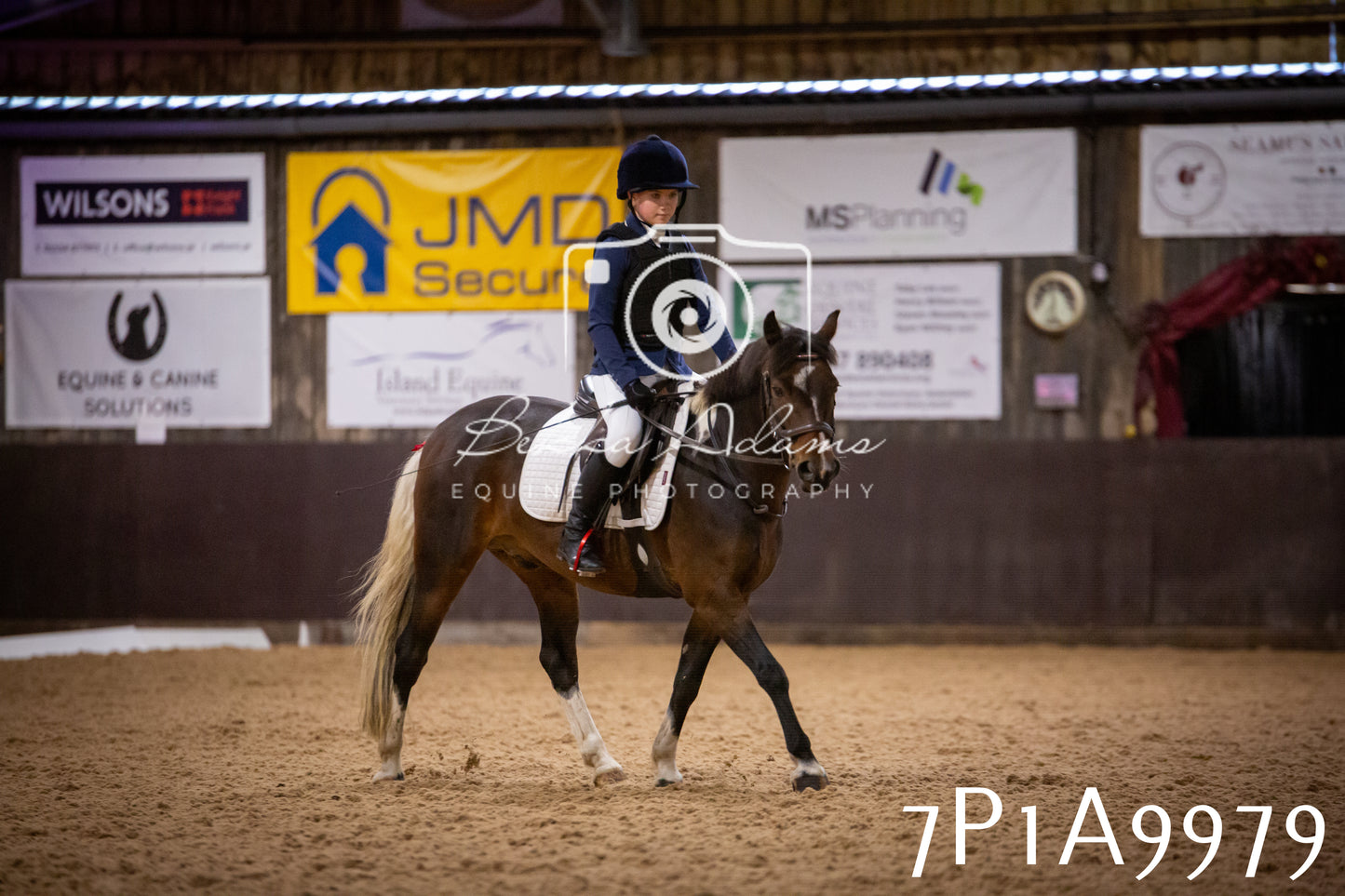 JHOYS 2025 - Dressage - 13th September