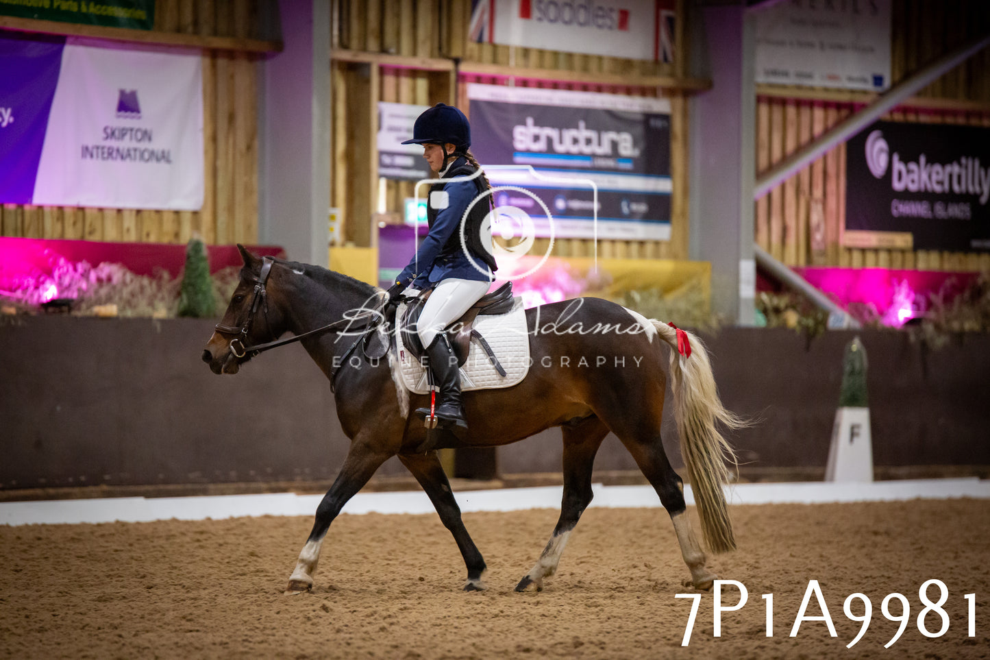 JHOYS 2025 - Dressage - 13th September