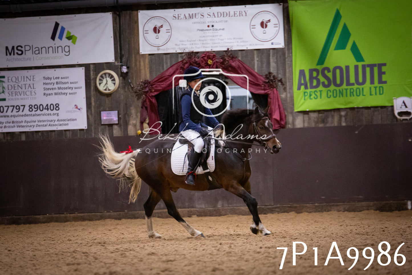 JHOYS 2025 - Dressage - 13th September
