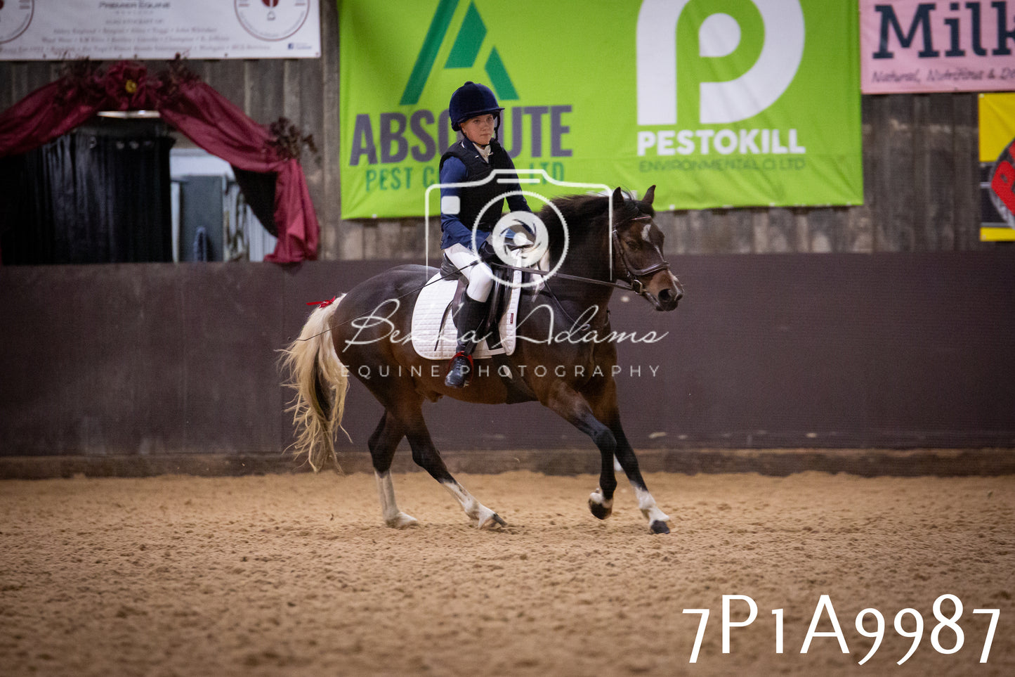 JHOYS 2025 - Dressage - 13th September