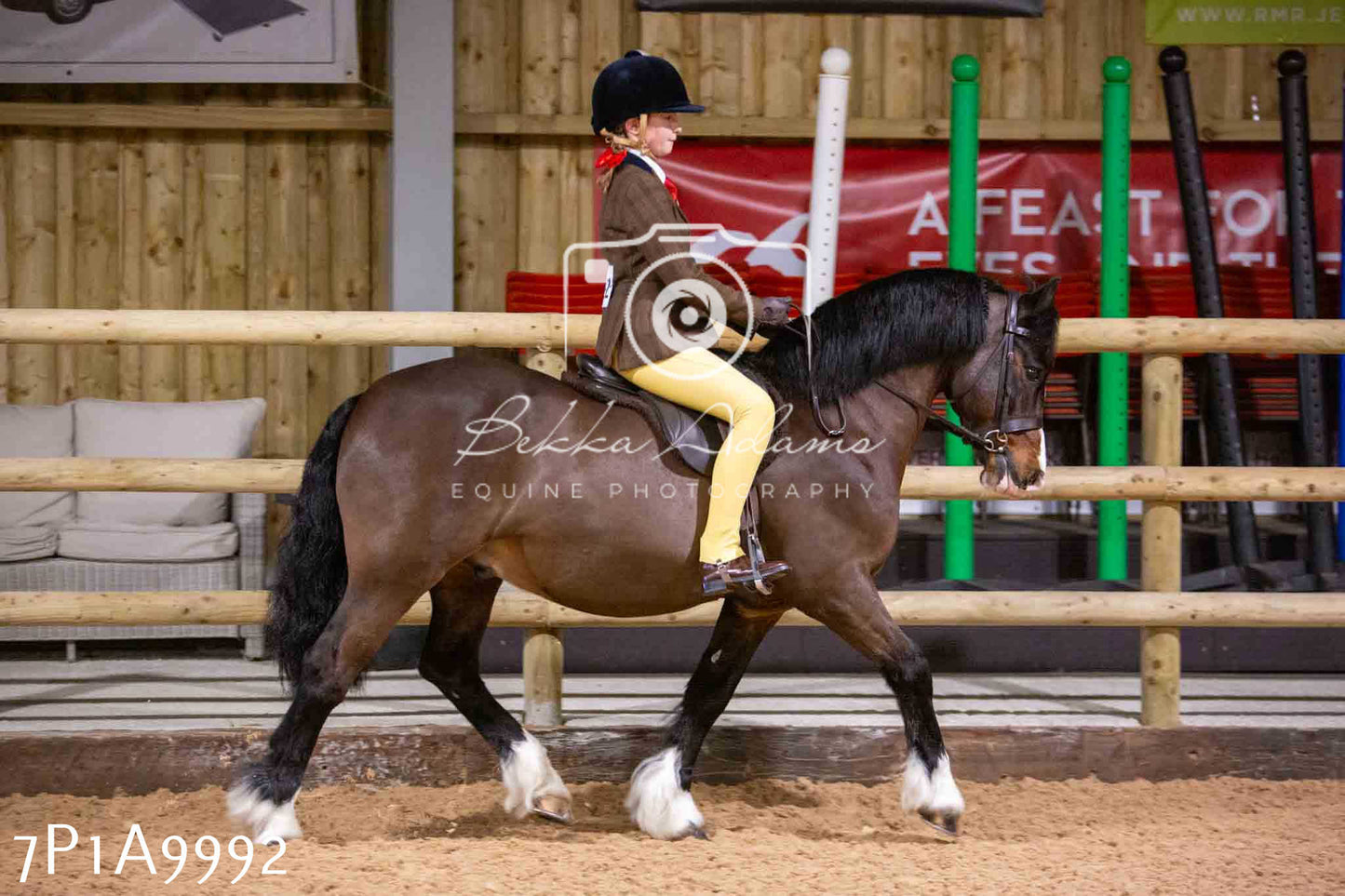 Home Farm Spring Show - Ridden Showing 24th March 2024 - Part 2