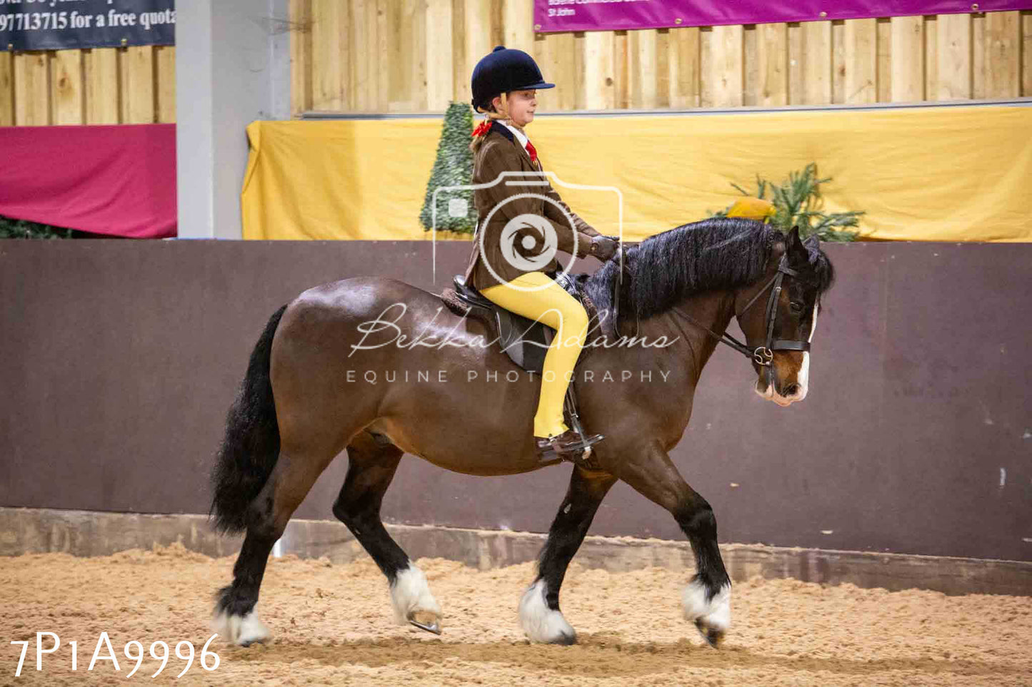 Home Farm Spring Show - Ridden Showing 24th March 2024 - Part 2