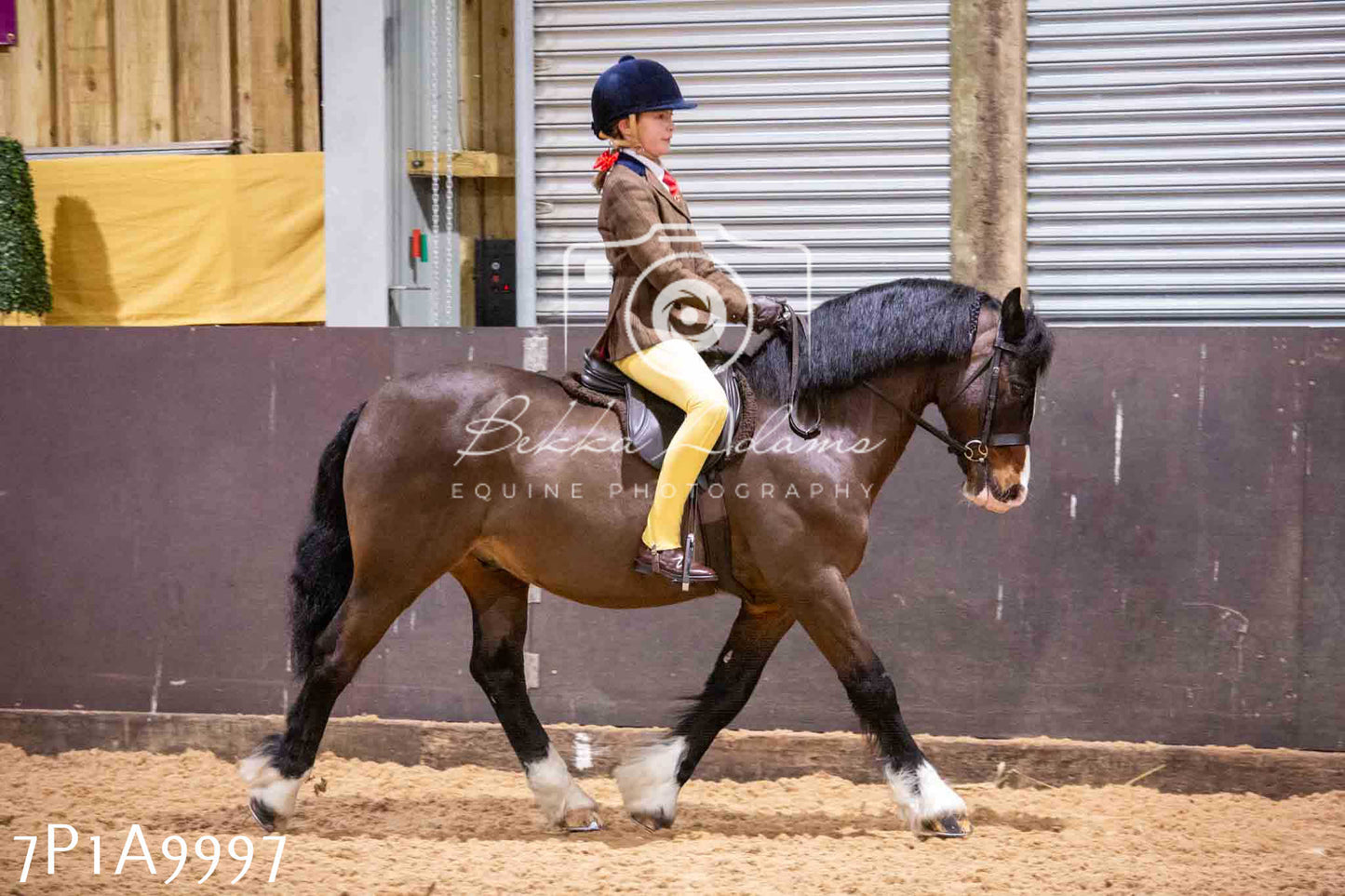 Home Farm Spring Show - Ridden Showing 24th March 2024 - Part 2