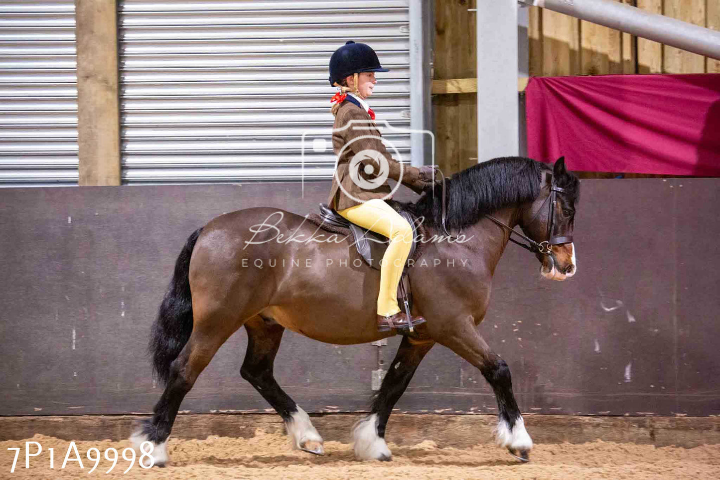 Home Farm Spring Show - Ridden Showing 24th March 2024 - Part 2