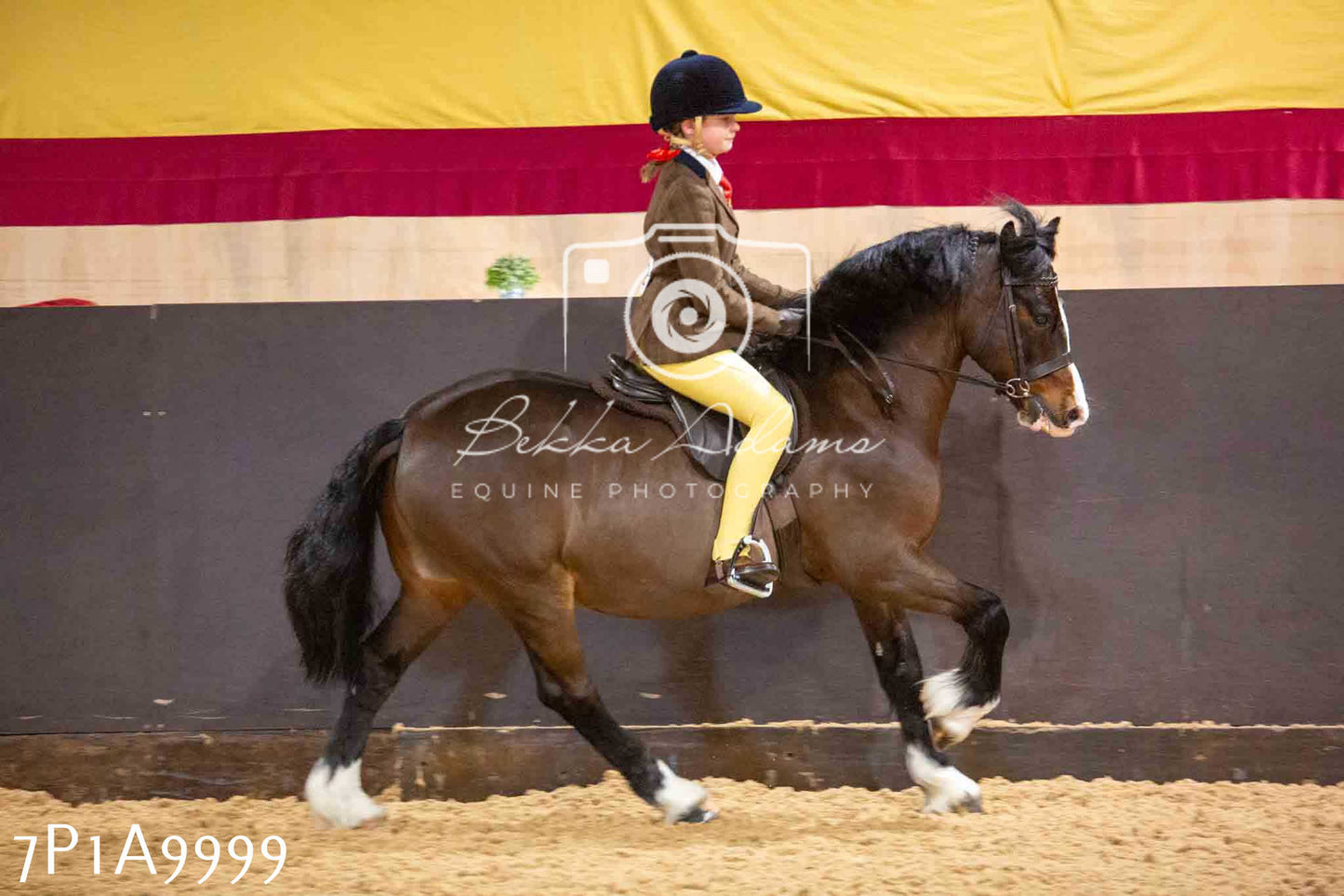Home Farm Spring Show - Ridden Showing 24th March 2024 - Part 2