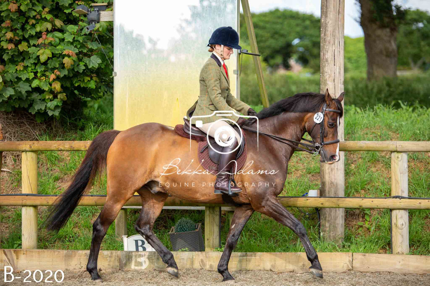 Home Farm Showing 20th June
