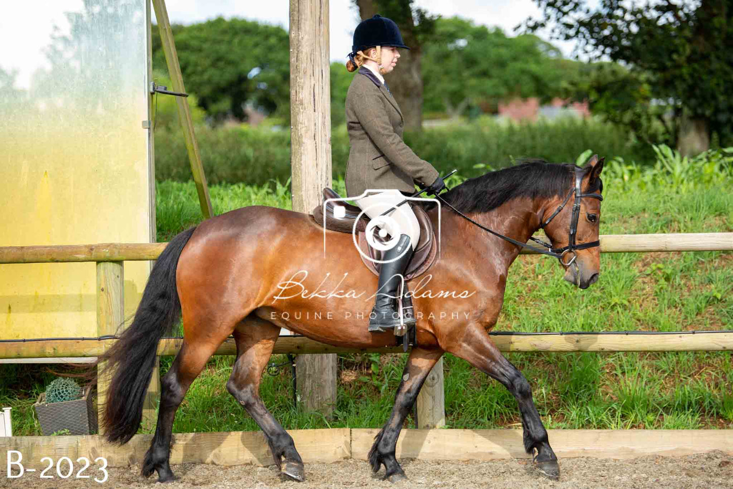 Home Farm Showing 20th June