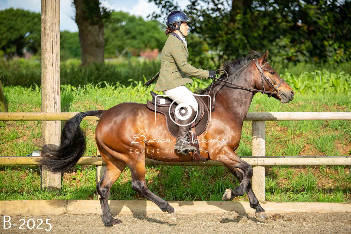 Home Farm Showing 20th June