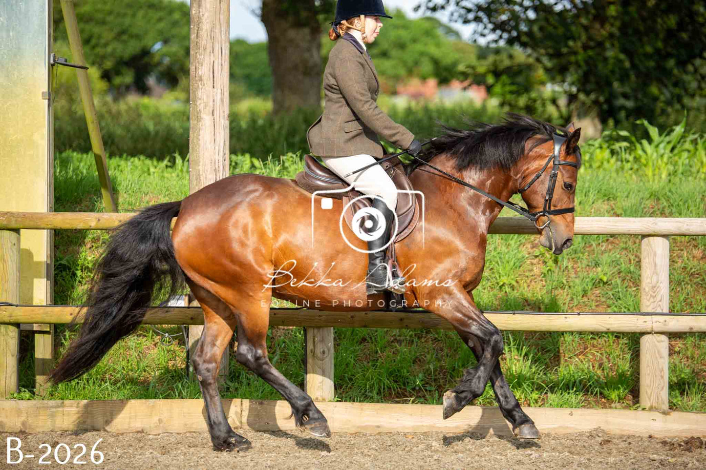 Home Farm Showing 20th June