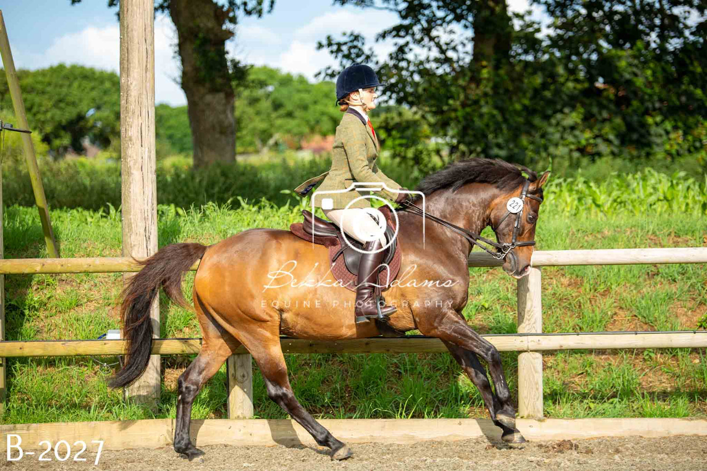 Home Farm Showing 20th June