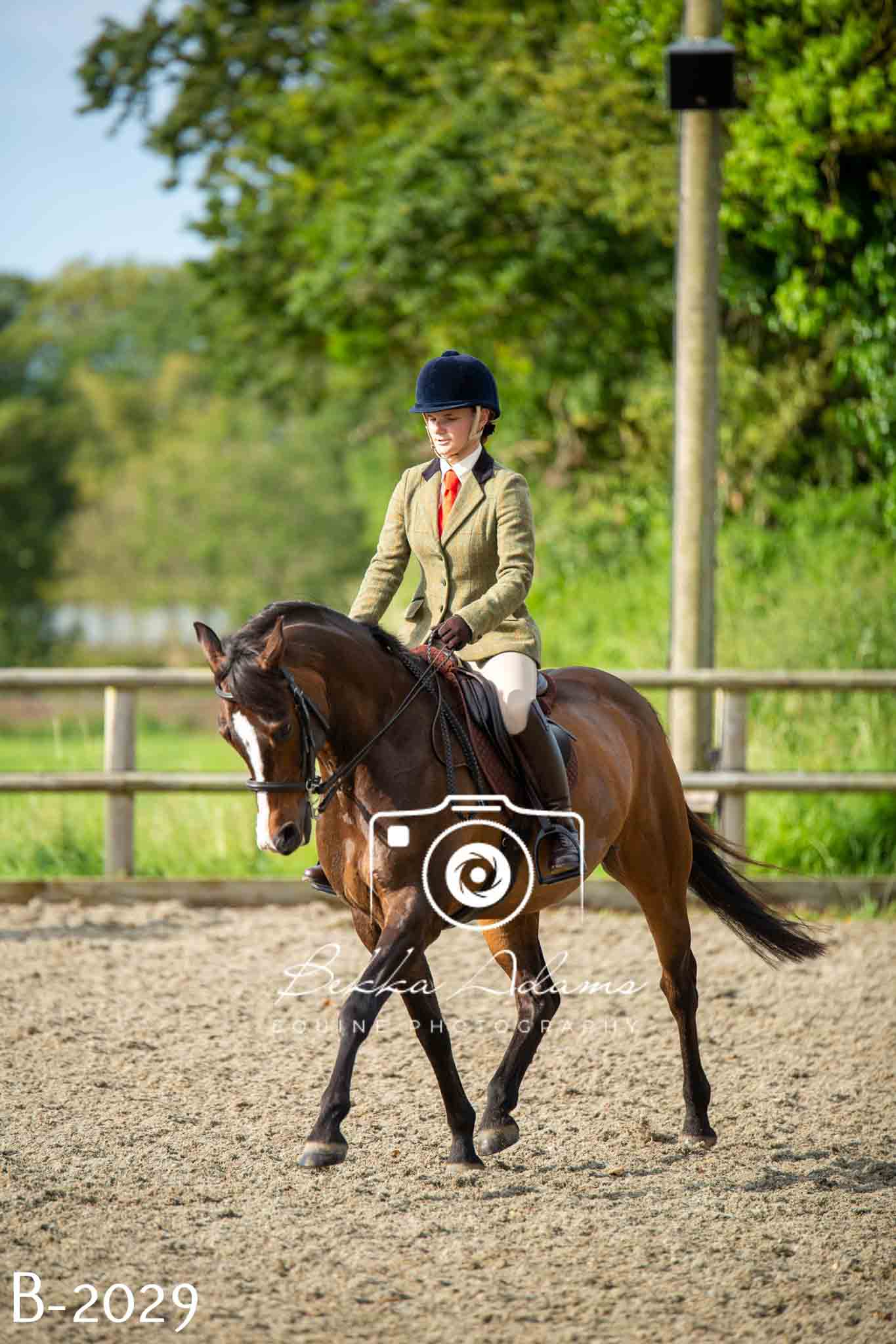 Home Farm Showing 20th June