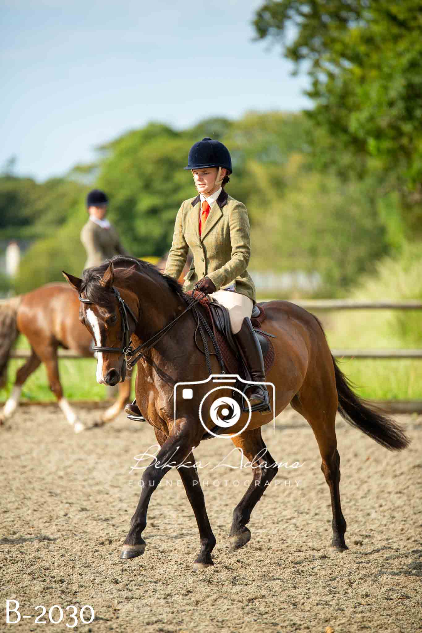 Home Farm Showing 20th June
