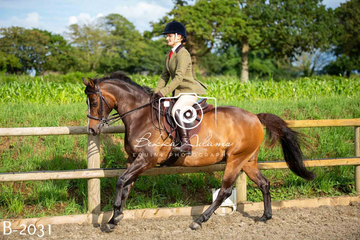 Home Farm Showing 20th June