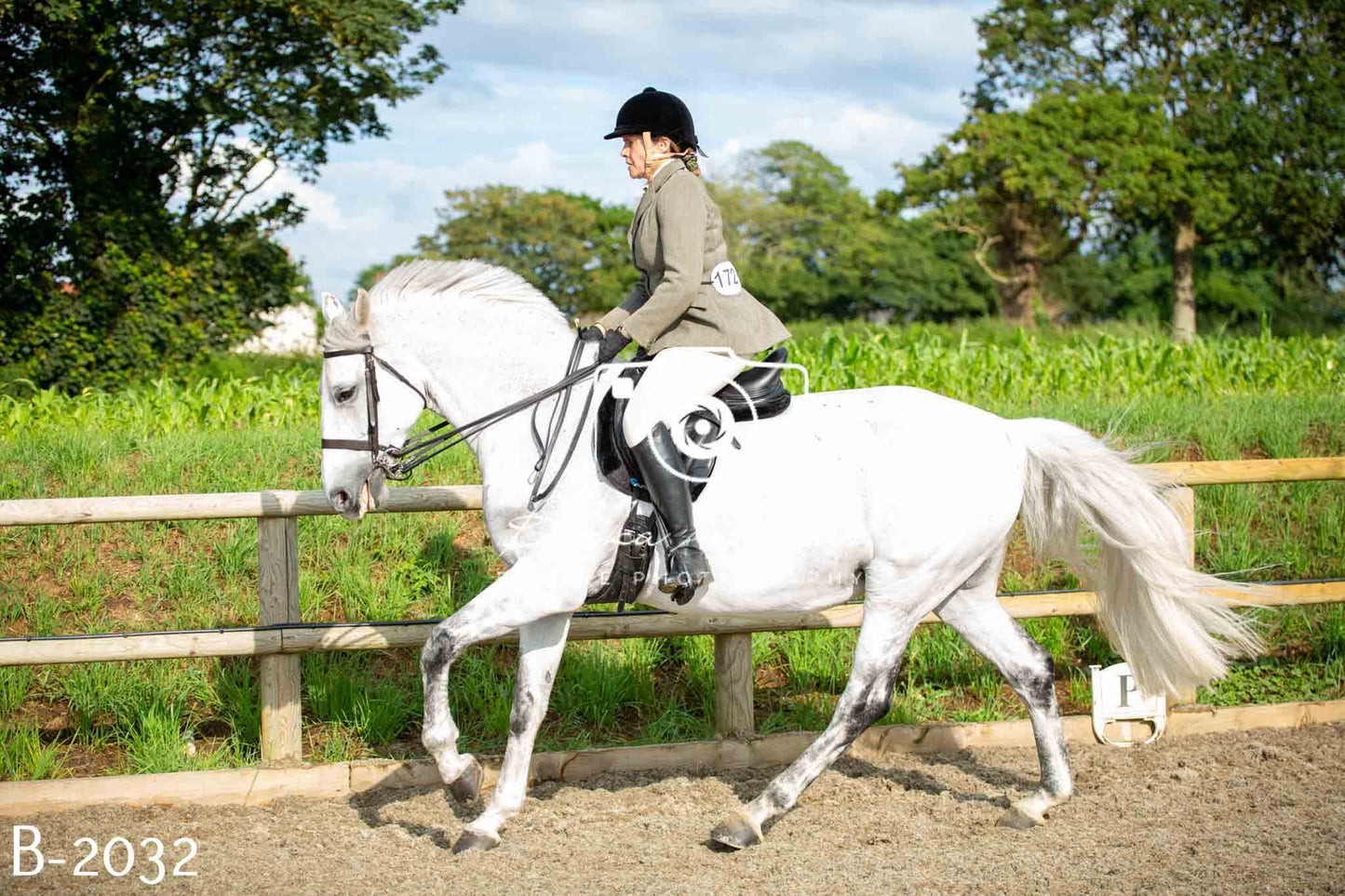 Home Farm Showing 20th June