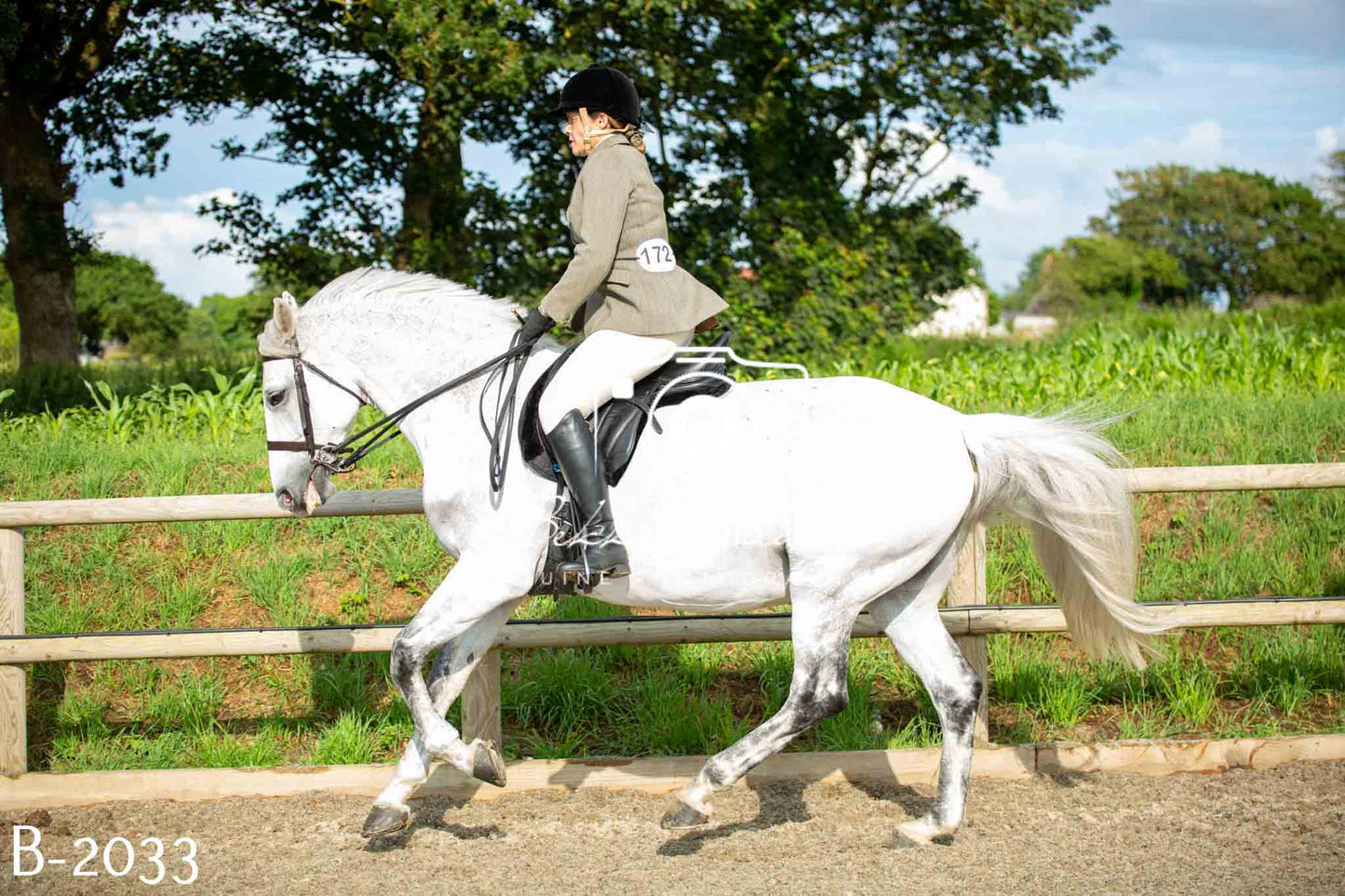 Home Farm Showing 20th June