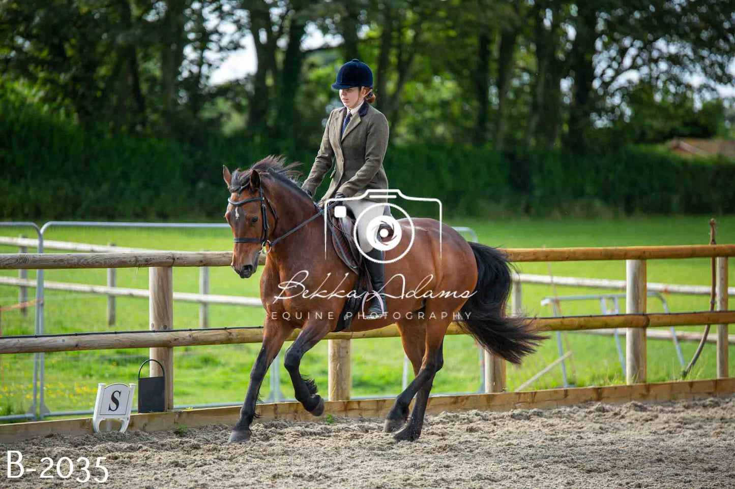 Home Farm Showing 20th June