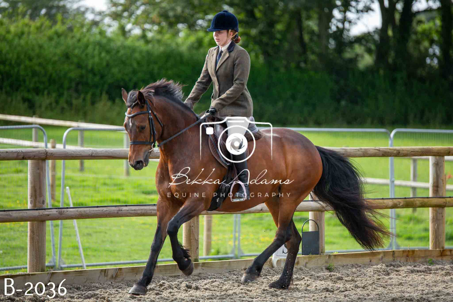 Home Farm Showing 20th June