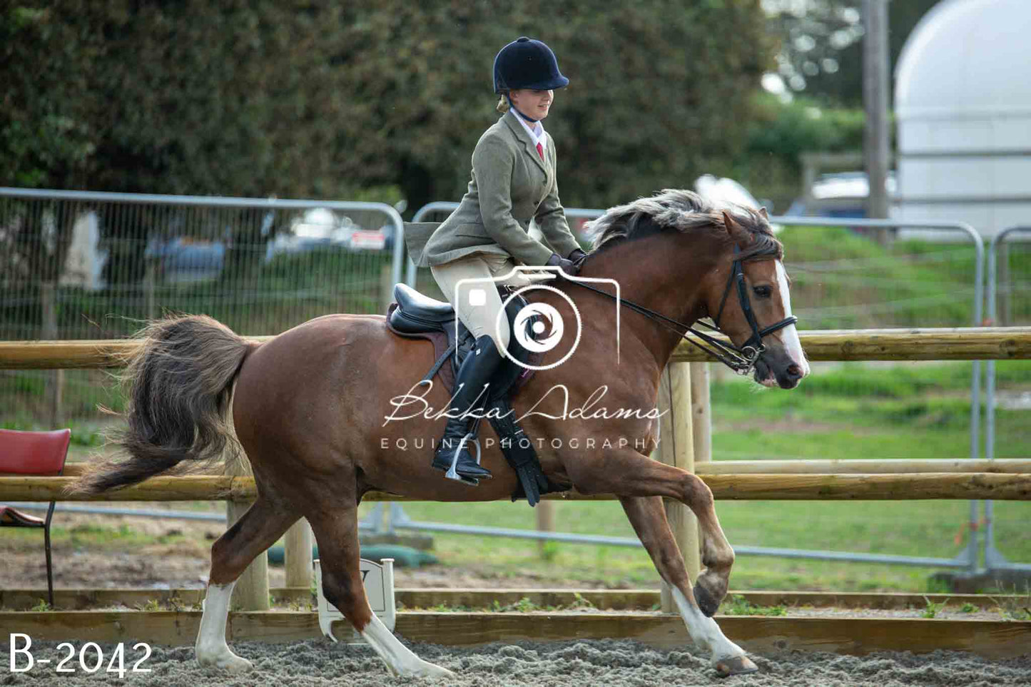 Home Farm Showing 20th June