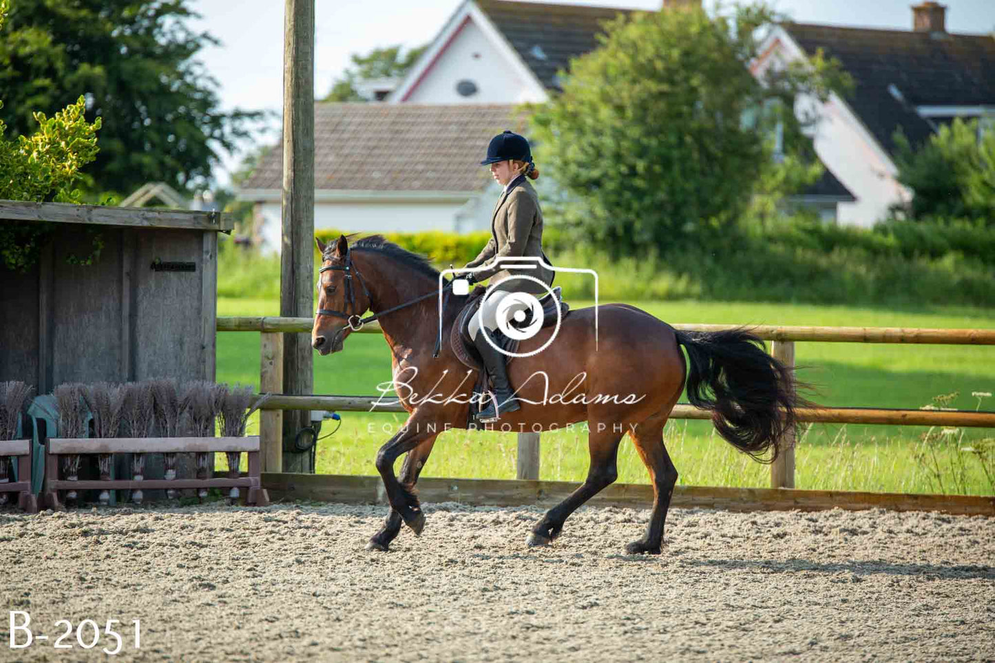 Home Farm Showing 20th June