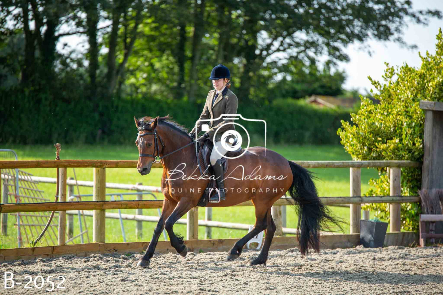 Home Farm Showing 20th June
