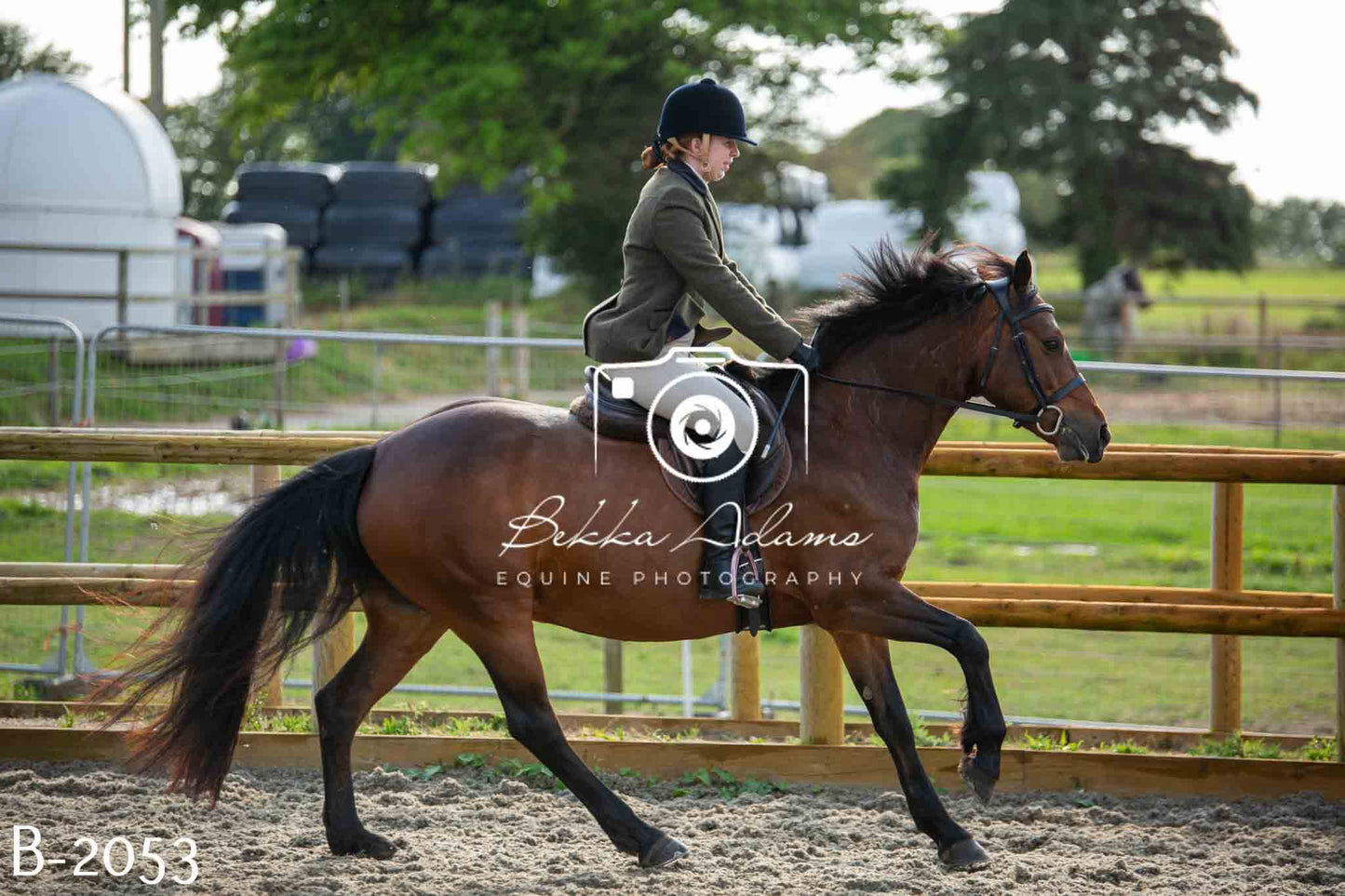 Home Farm Showing 20th June