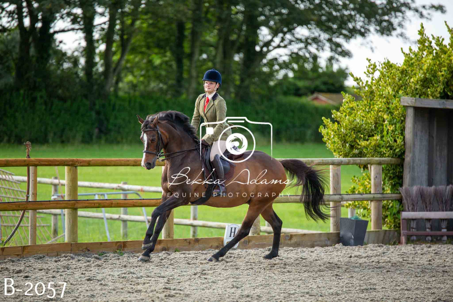 Home Farm Showing 20th June