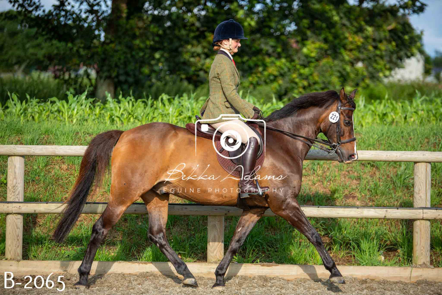 Home Farm Showing 20th June